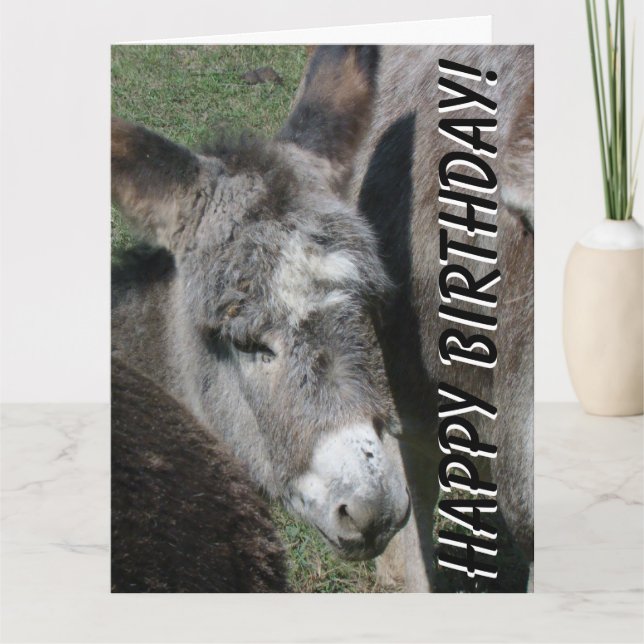 Tarjeta Baby Donkey Birthday Big Greys Card (Anverso)