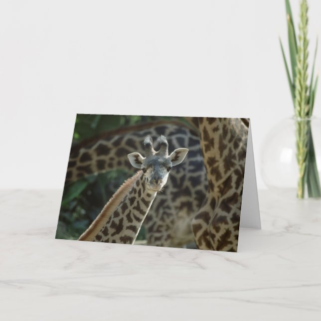 Tarjeta Baby Giraffe (Anverso)