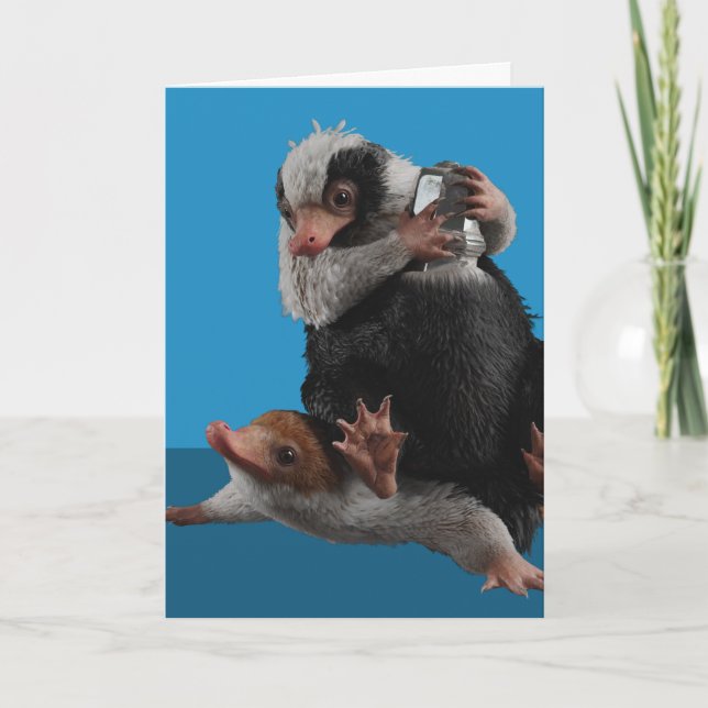 Tarjeta Baby Nifflers Find A Prize (Anverso)