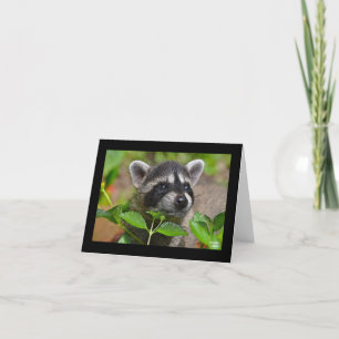 Tarjeta Baby Raccoon Notecard