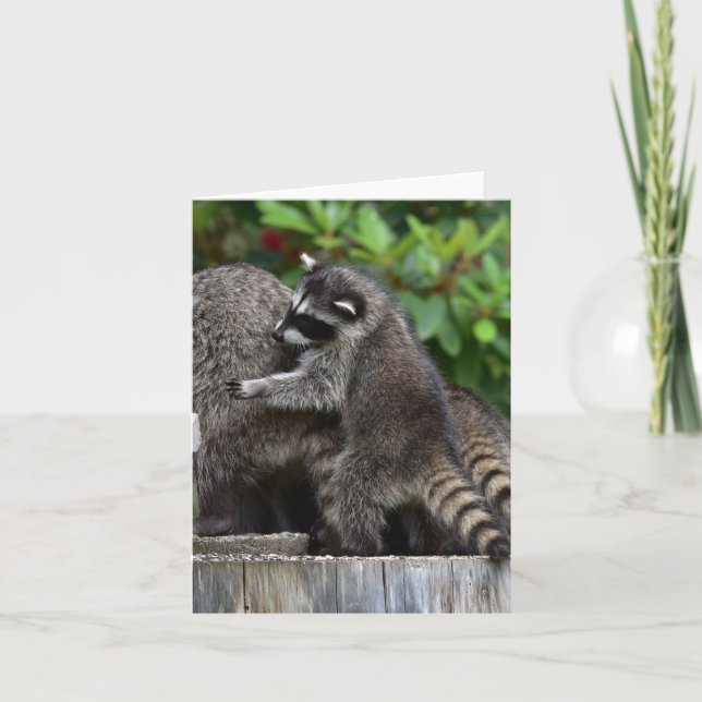 Tarjeta Baby Raccoons y Mamá (Anverso)