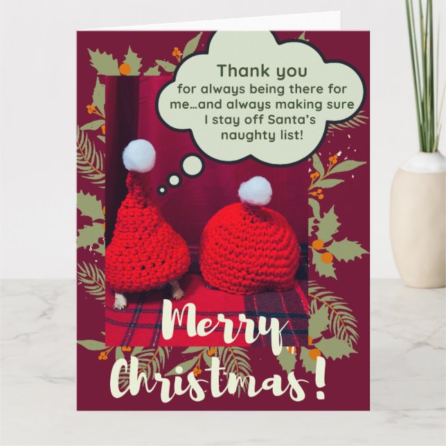 Tarjeta Baby Sulcata Tortoise Mejor Amigos Navidades Graci (Anverso)