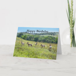 Tarjeta Bachelor Pronghorn Antelopes Happy Birthday