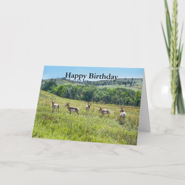 Tarjeta Bachelor Pronghorn Antelopes Happy Birthday (Anverso)