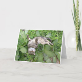 Tarjeta Backscratch suculento