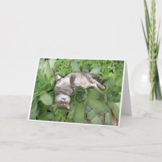 Tarjeta Backscratch suculento