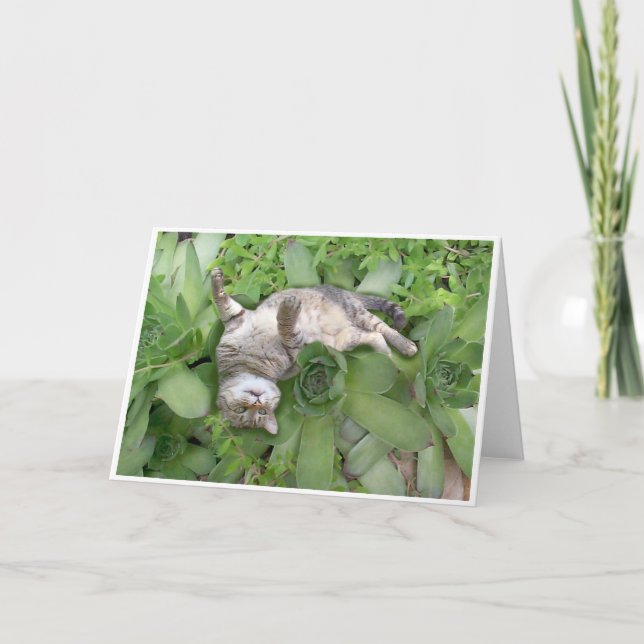 Tarjeta Backscratch suculento (Anverso)