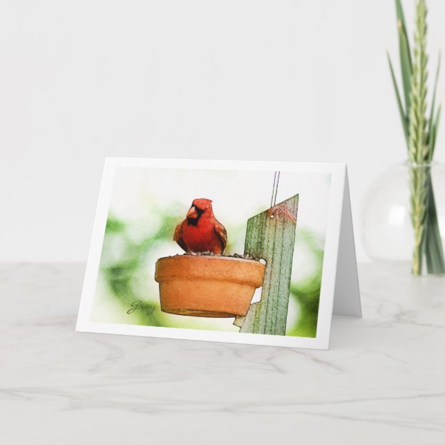 Tarjeta Backyard Birds Notecards (Anverso)