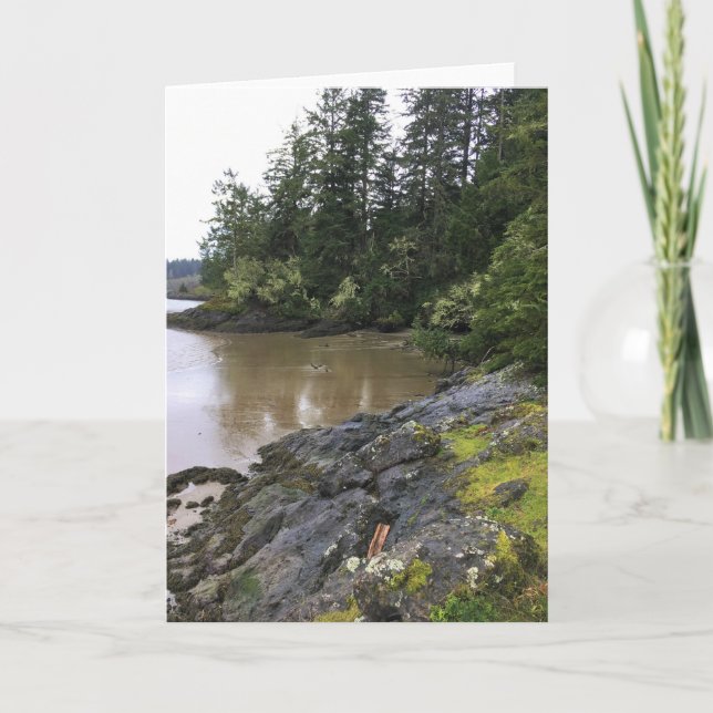 Tarjeta Bahía Baker, decepción del Cabo, Washington (Anverso)