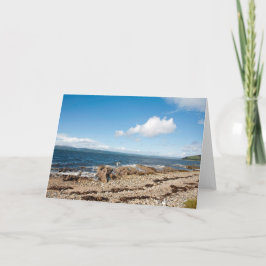 Tarjeta Bahía de Machrie