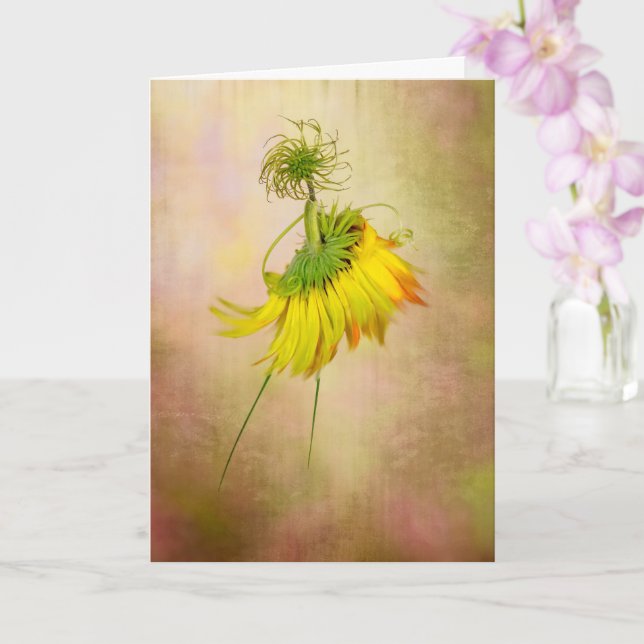 Tarjeta Bailarina de jardín (Orquídea)