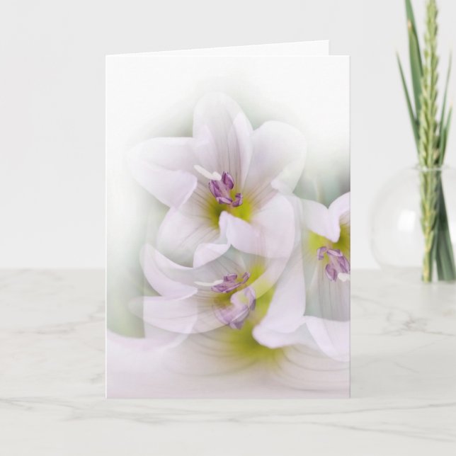 Tarjeta baile de flores (Anverso)