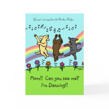 Baile Labradors en el puente del arco iris