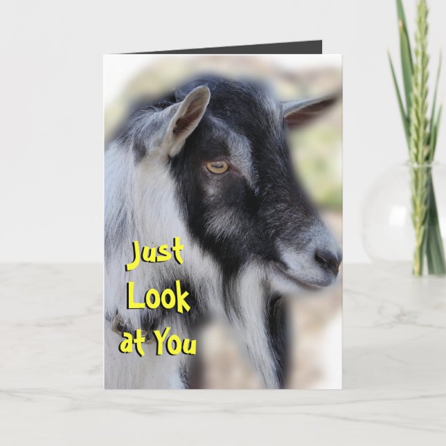 Tarjeta BaileyLookatYou-personalizar en cualquier ocasión (Anverso)