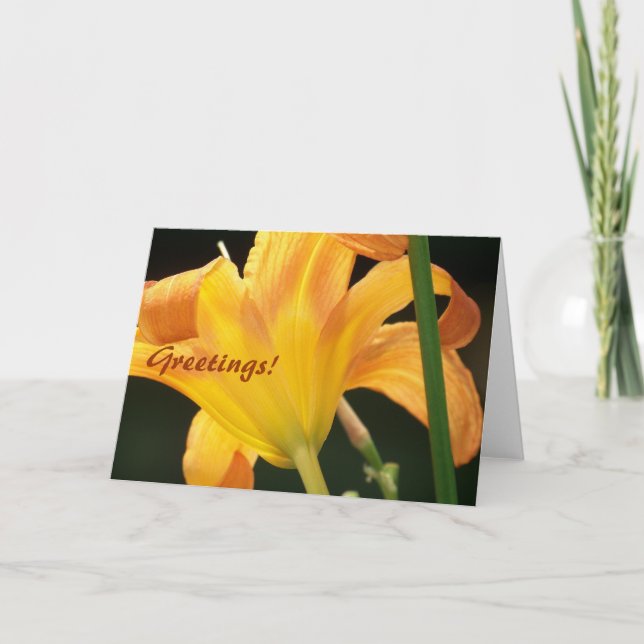 Tarjeta ¡Bajo el sol, saludos! (Anverso)