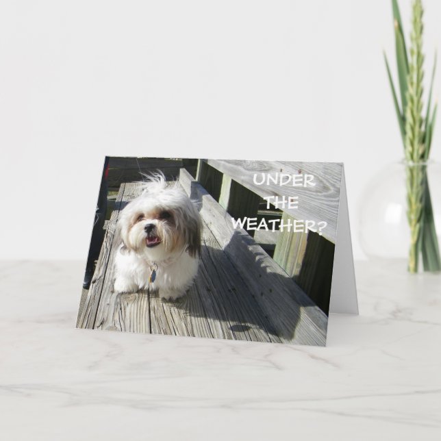 TARJETA ¿BAJO EL TIEMPO? (Anverso)