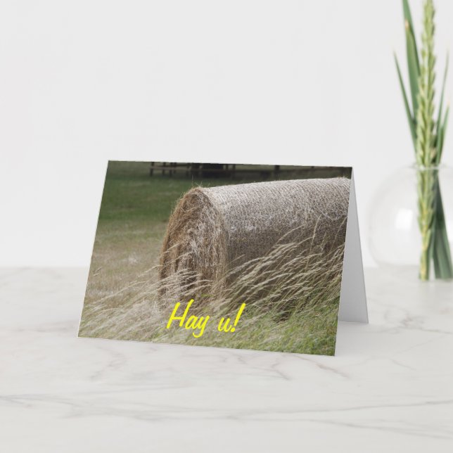 Tarjeta ¡Balas de heno, hay u! (Anverso)