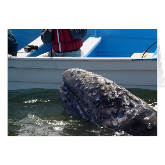 Tarjeta Ballena