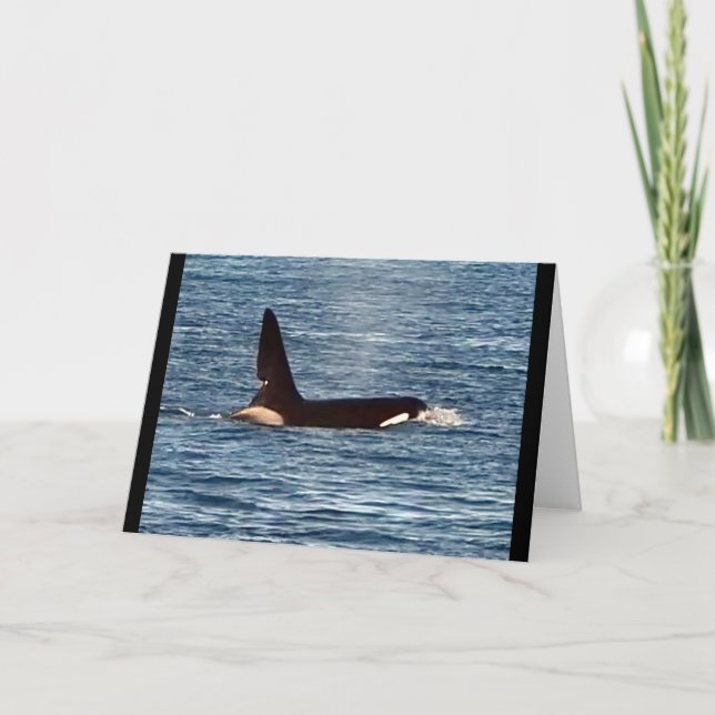 Tarjeta Ballena Asesina John Coe Personalizable Orca de la (Anverso)
