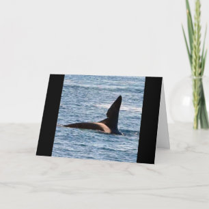 Tarjeta Ballena Asesina John Coe Personalizable Orca de la