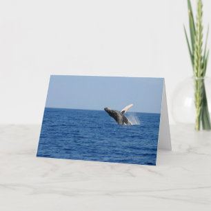 Tarjeta Ballena de una época