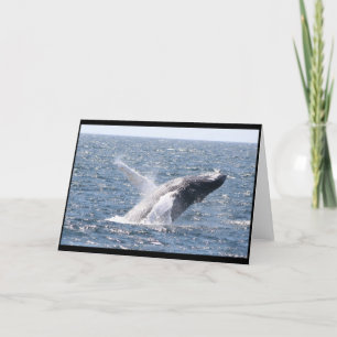 Tarjeta Ballena jorobada I