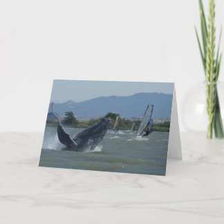 Tarjeta Ballena jorobada que viola por los Windsurfers