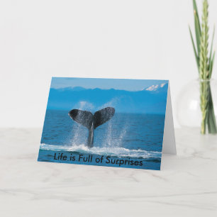 Tarjeta Ballena jorobada, vida llena de sorpresas, vida...
