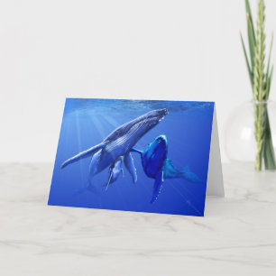 Tarjeta Ballenas jorobadas