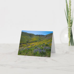 Tarjeta Balsam y Lupine en blanco