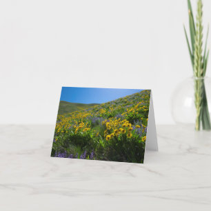 Tarjeta Balsam y Lupine Superbloom en blanco