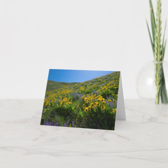 Tarjeta Balsam y Lupine Superbloom en blanco (Anverso)