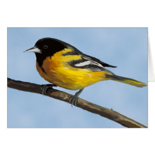 Tarjeta Baltimore Oriole