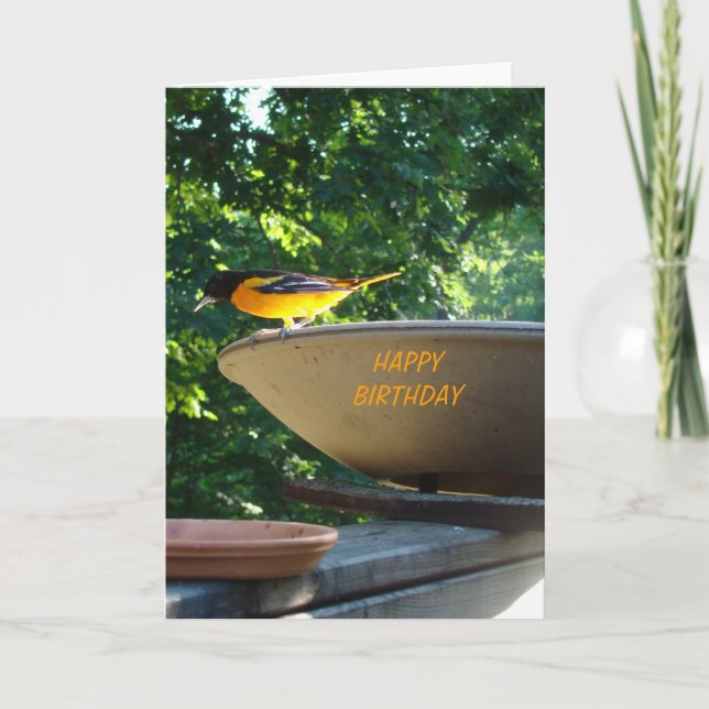 Tarjeta Baltimore Oriole, cumpleaños (Anverso)