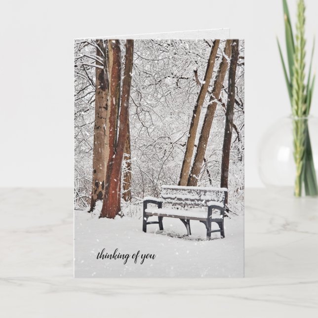 Tarjeta banco de parque de invierno en copos de nieve (Anverso)