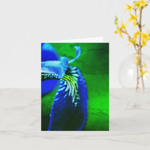 Tarjeta Bandera azul Iris Flower Art Note