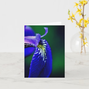 Tarjeta Bandera azul Iris Flower Note
