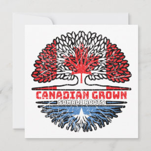 Tarjeta Bandera de raíces de árbol canadiense somalí en Ca