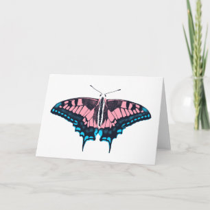 Tarjeta Bandera del Orgullo Transgénero Mariposa Tradicion