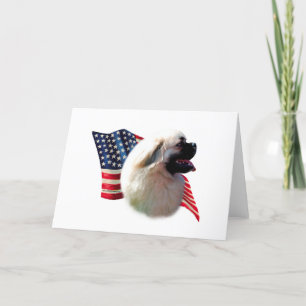 Tarjeta Bandera española tibetana