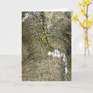 Tarjeta Baraja de árbol con mosquitos cerca