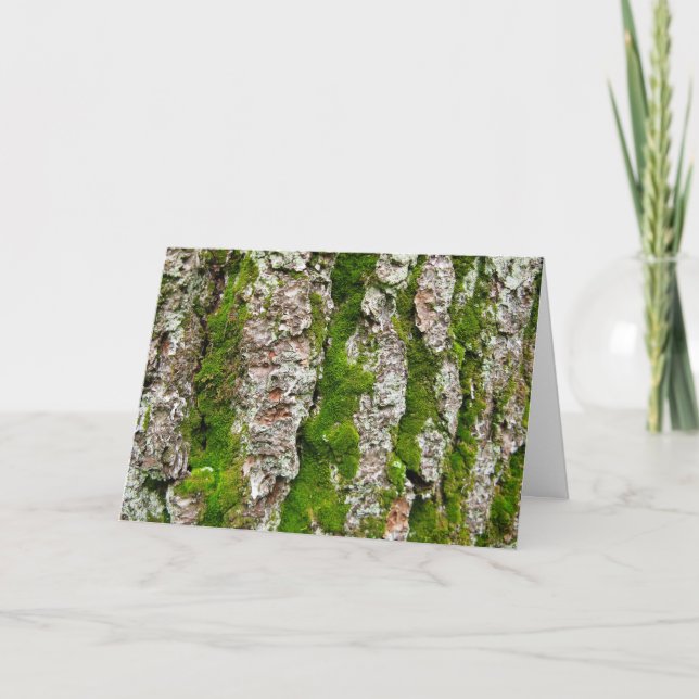 Tarjeta Baraja De Árbol De Pino Con Moss (Anverso)