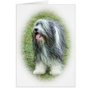 tarjeta barbuda del collie