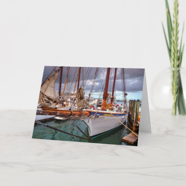 Tarjeta Barcos de vela mordidos en Key West (Anverso)