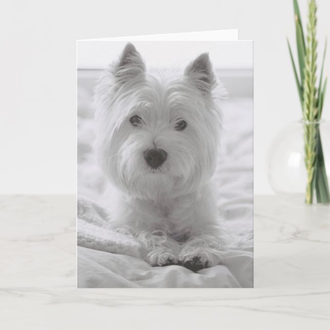 Tarjeta Barko en cama (Anverso)