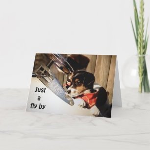 TARJETA BARNSTORMING RUSSELL TERRIORS DICE FELIZ 40