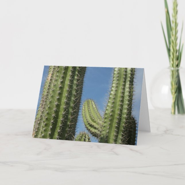 Tarjeta Barrel Cactus I Desert Photo (Anverso)
