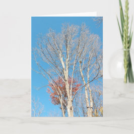 Tarjeta Barren Trees