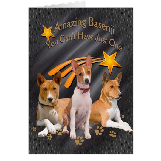 Tarjeta Basenji usted no puede tener apenas una ropa