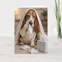 Basset Hound enfermo con pañuelos